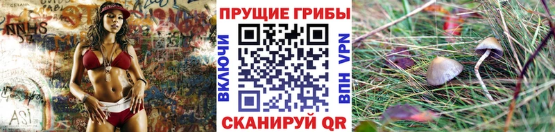 Галлюциногенные грибы ЛСД  магазин продажи наркотиков  Кызыл 