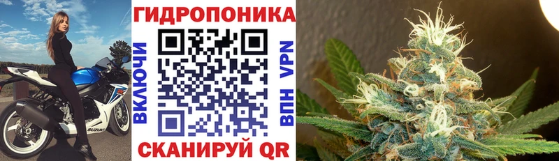 Канабис марихуана  как найти наркотики  Кызыл 